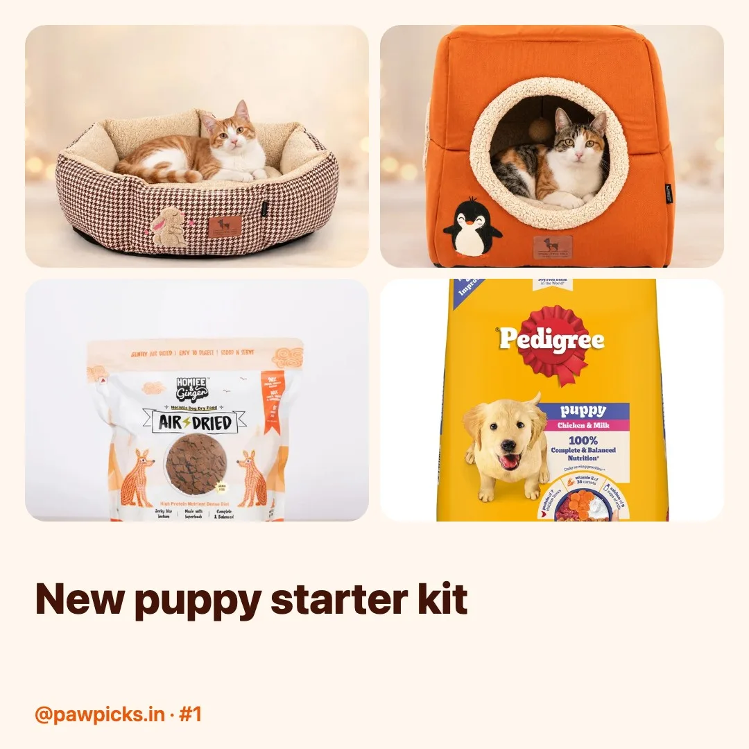 Post #1: Just brought home a pup? 🐶 Everything on my week-1 list: puppy food, a cosy bed, chew toys & potty training basics. Wat