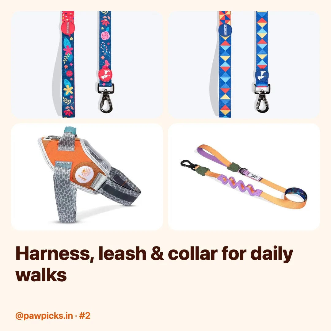 Post #2: Walkies, upgraded 🦮 No-pull harnesses, padded leashes & comfy collars that survived my dog's zoomies.
