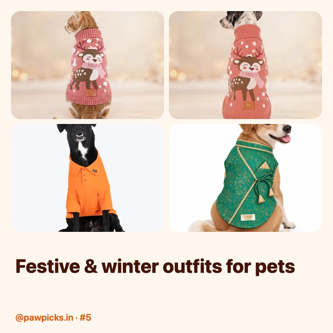 Post #5: Diwali photo-shoot ready ✨ Kurtas, sweaters & polos — because your pet deserves to be the best-dressed at the party (and