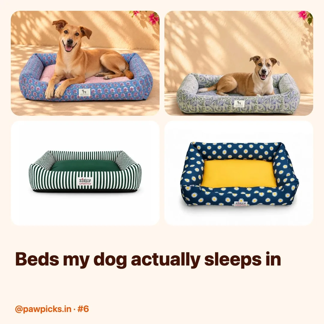 Post #6: Orthopaedic, washable & chew-resistant 🛏️ Found the bed my dog won't leave — plus 4 more that are worth it.