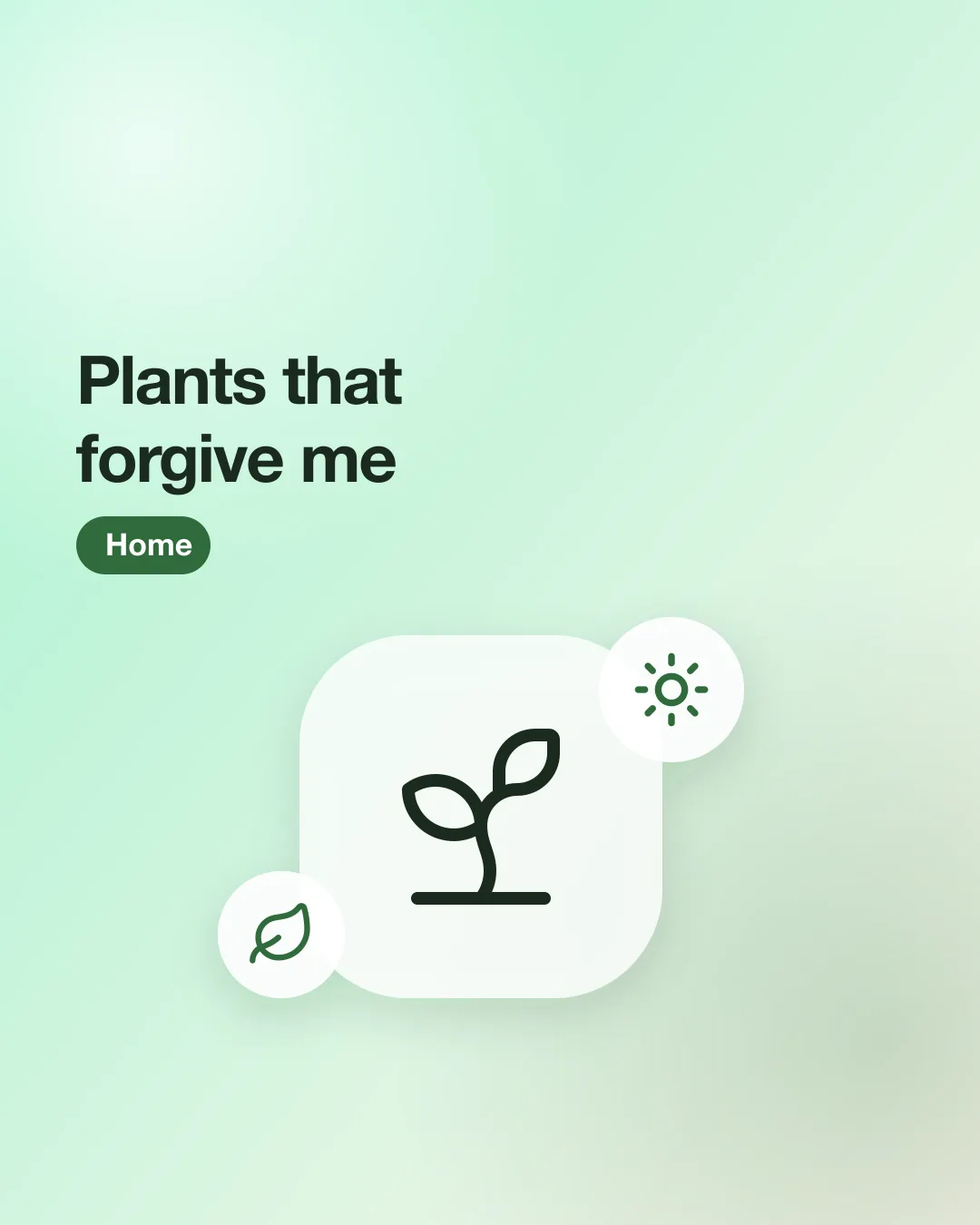 Post #8: Low-effort plant setup for people who forget to water (me).

Sample post: example products and prices, links open store 