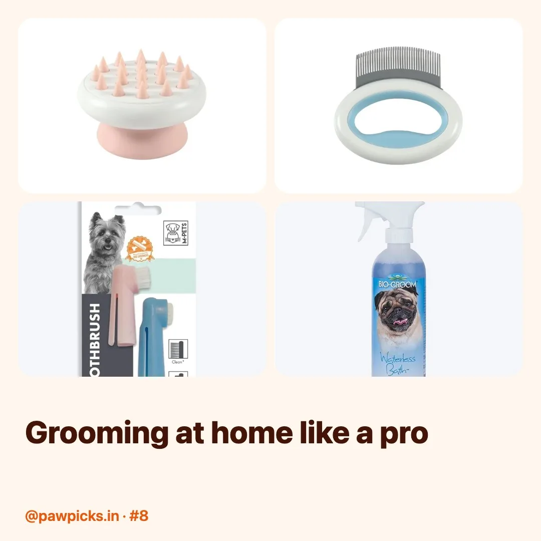 Post #8: Spa day at home 🛁 Gentle pet shampoos, de-shedding brushes & paw care for clean, happy pets.